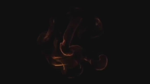 FPV- 328- .            ,    