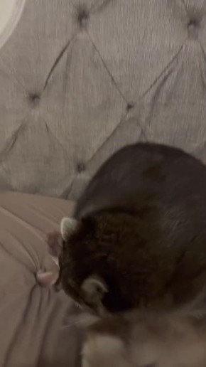  , !      !