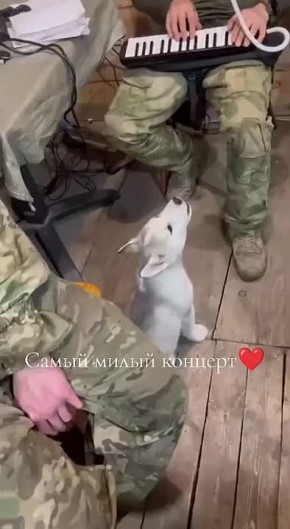    ,  !