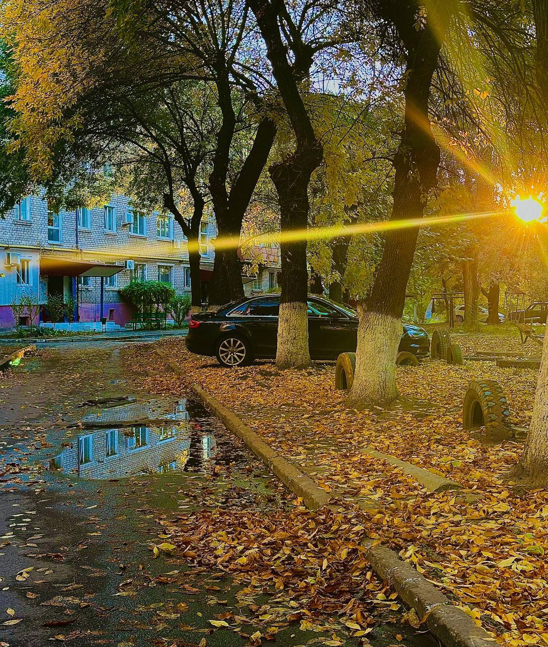 Желаем всем по-настоящему доброго утра!