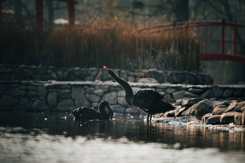 ������� ������ ����������, � ���� ������!