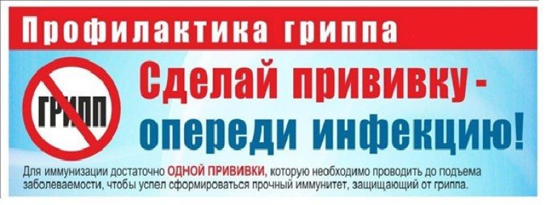 ВАКЦИНОПРОФИЛАКТИКА ГРИППА