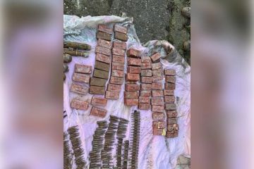 Патроны, гранаты и тротил нашли в тайнике в запорожской Васильевке