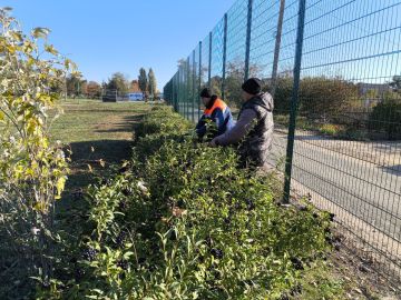 В парке Азовском провели работы по благоустройству территории