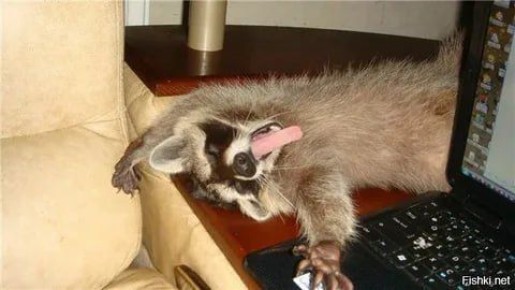 Доброй ночи, дорогие подписчики! Доброй ночи, Запорожье!