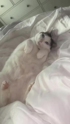  !.  