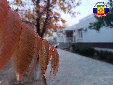 Доброе утро, друзья! Октябрь уже скоро передаст свои права ноябрю: вокруг прохлада, по вечерам хочется уюта