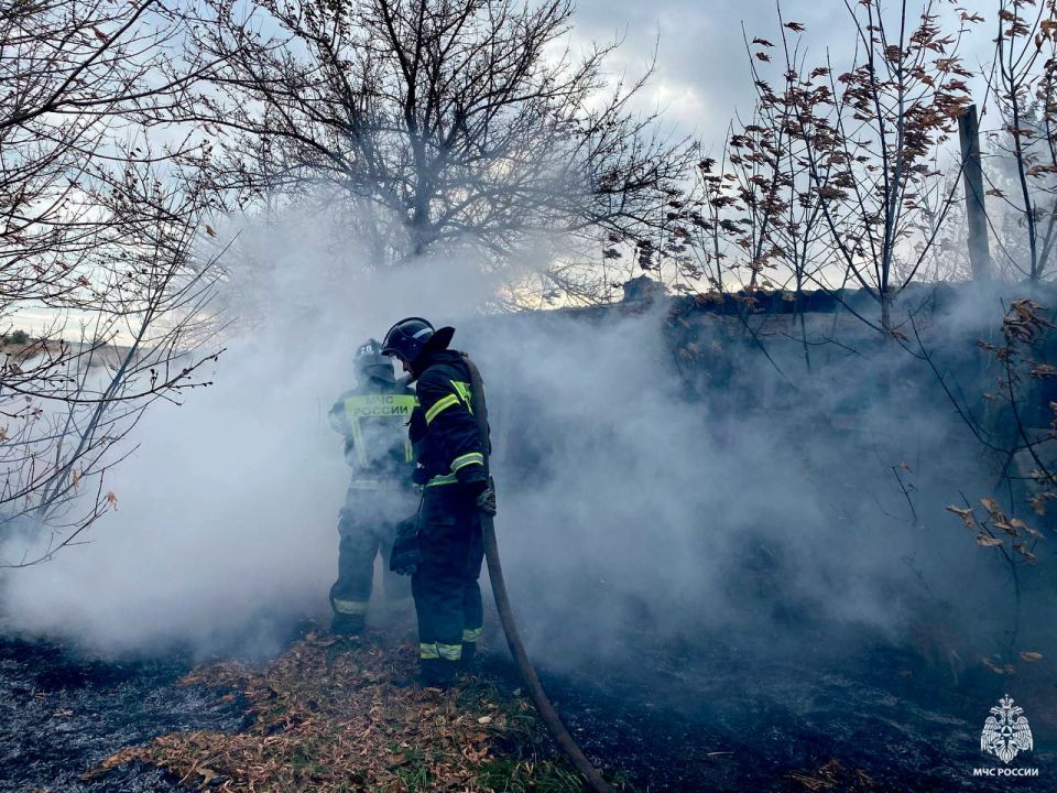 Оперативная информация за сутки