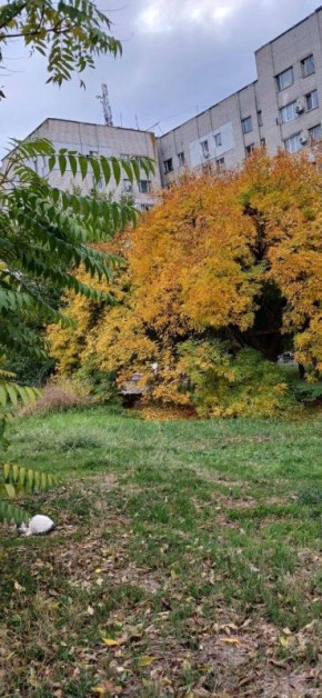 Доброе-предоброе утро! Желаем приятного пробуждения