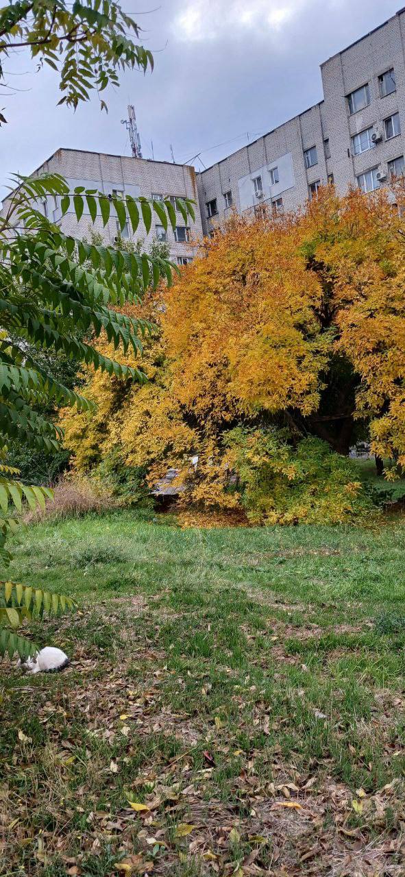 Доброе-предоброе утро! Желаем приятного пробуждения