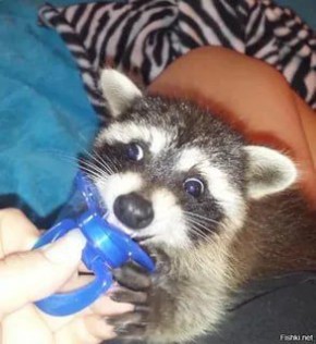 Доброе утро, друзья! Хорошего вам дня и отличного настроения!