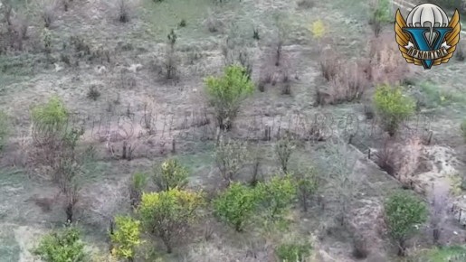  FPV-         