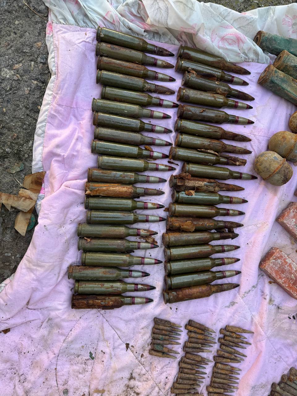 Схрон с боеприпасами обнаружили в Васильевке