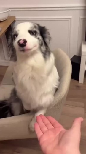  , !.          !  !    !     ))  :  