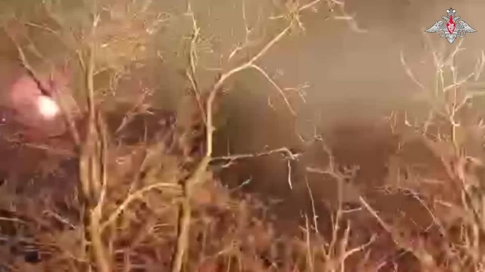 Минобороны России: Расчёт РСЗО «Град» 38-й отдельной мотострелковой бригады группировки войск «Восток» нанёс огневое поражение позициям украинских формирований в районе населённого пункта Червоное в Запорожской области