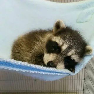 Доброй ночи, дорогие подписчики! Доброй ночи, Запорожье!