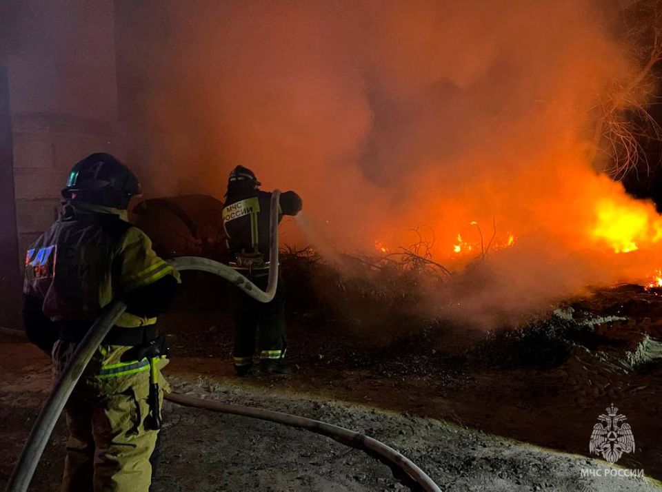 Оперативная информация за сутки