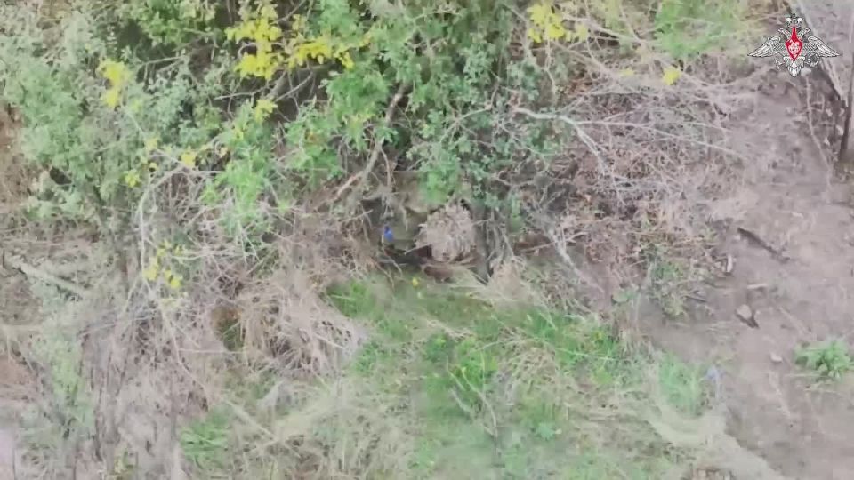 ��������� �������: ���� ��������� � ������� ������ ����