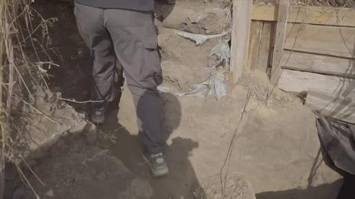 Марьяна Наумова: ДЕД ВЕРНЁТСЯ ВЕСНОЙ, ВНУЧКИ, ЖДИТЕ МЕНЯ: