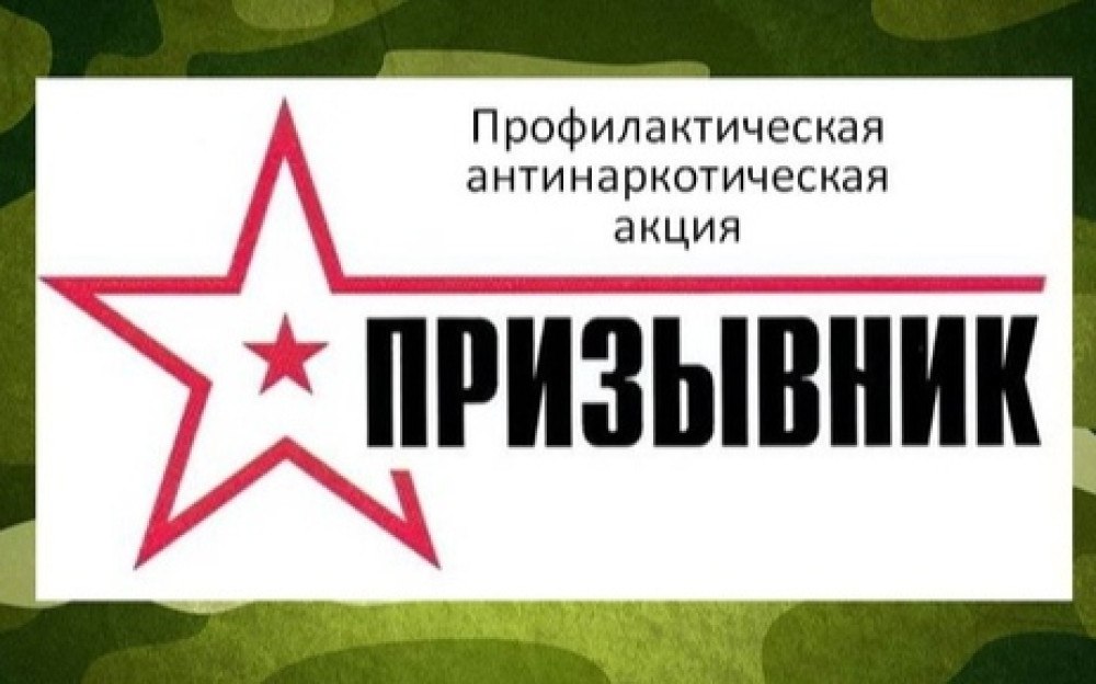 На территории Запорожской области с 1 октября по 1 декабря 2025 года проводится второй этап общероссийской акции «Призывник-Защитники Отечества»