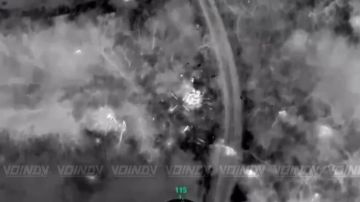 В Полтавке Запорожской области ВСУ потеряли более 20 военных после неудачной контратаки, сообщают СМИ