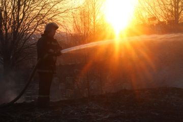 Один пожар потушили в Запорожской области за сутки