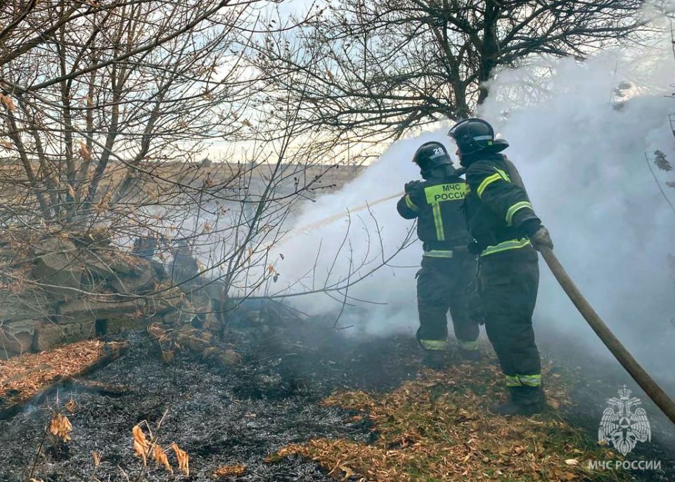 Оперативная информация за сутки