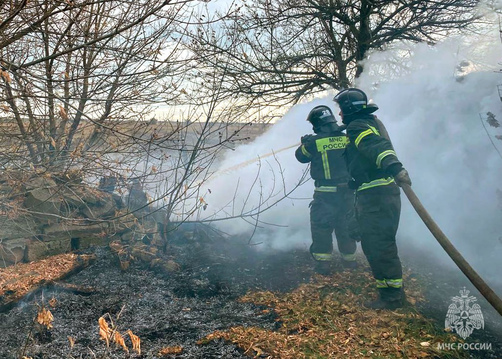 Оперативная информация за сутки
