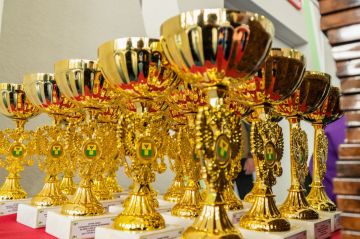 23 октября 2025 года в г. Мелитополь прошло физкультурное мероприятие по боксу «Кубок Главы городского округа Мелитополь», посвященное празднованию Дня города Мелитополь