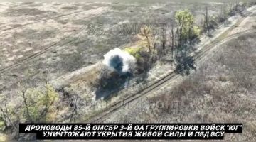 от Енота Херсона      за прошедшие сутки с разных направлений зоны проведения специальной военной операции