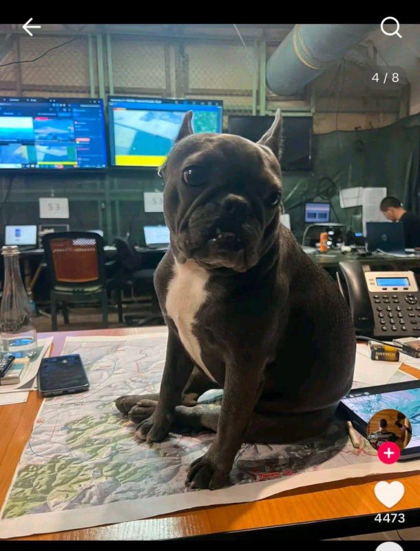 ������� �����: ����������� ��� �������� ������ ����������� � ������� ���� ���� ������ �������� � �������� ���������, �������� ��� ����������