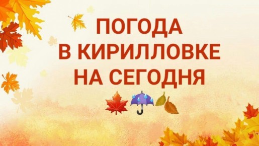 ПРОГНОЗ ПОГОДЫ НА СЕГОДНЯ. В Кирилловском сельском поселении сегодня, 27 октября, ожидается: Днём --  +11 С...+15 С