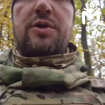 Русским будет. Забираем! - в пушистом батальоне пополнение!