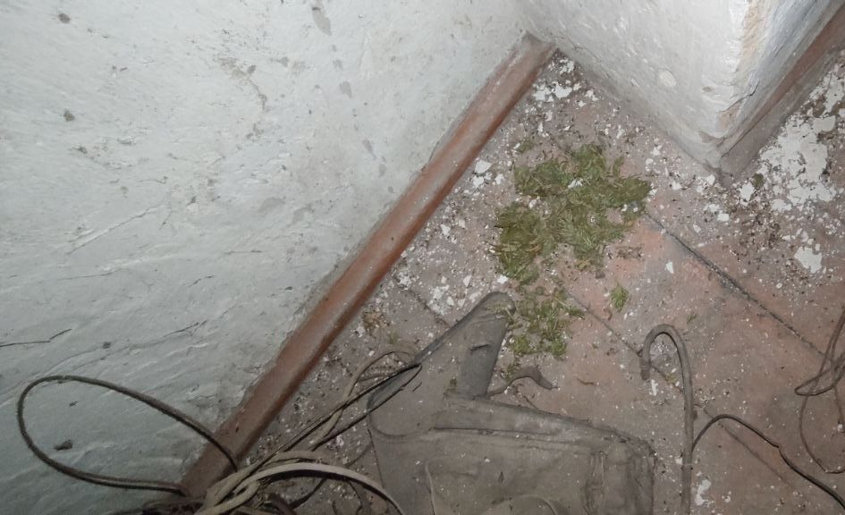 �������������� ����������� ������ ����������� ��������