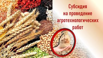 29 октября стартует третий поток приёма заявок на субсидию для проведения агротехнологических работ