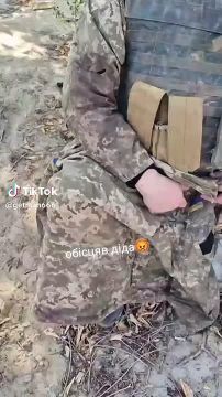 Из просторов украинского тик-тока