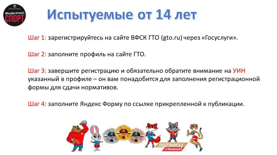 ������ �����: