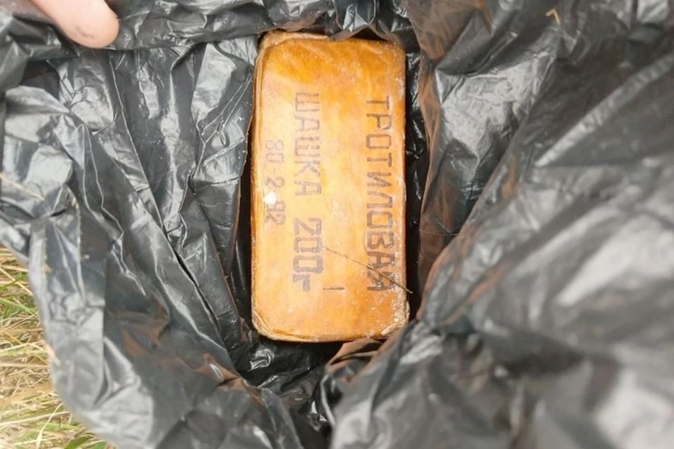 Тротил и запалы к гранатам изъяли в Запорожской области