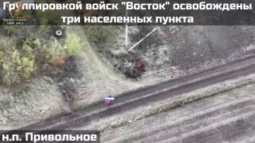 Три населённых пункта на границе Запорожской и Днепропетровской областей — Егоровка, Привольное и Новониколаевка — перешли под контроль Вооружённых Сил РФ