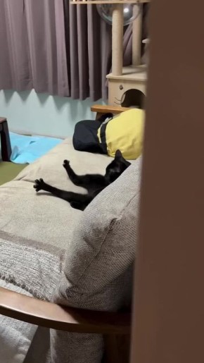 Ну наконец-то вечер. Когда пришел домой после тяжелого дня, сел на диван и не знаешь что делать дальше