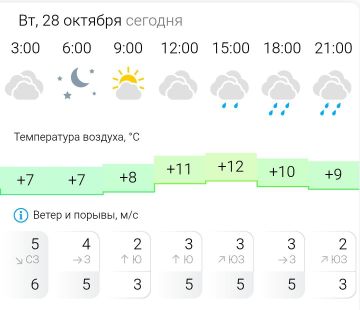 ПРОГНОЗ ПОГОДЫ. Во вторник, 28 октября в Энергодаре дождь