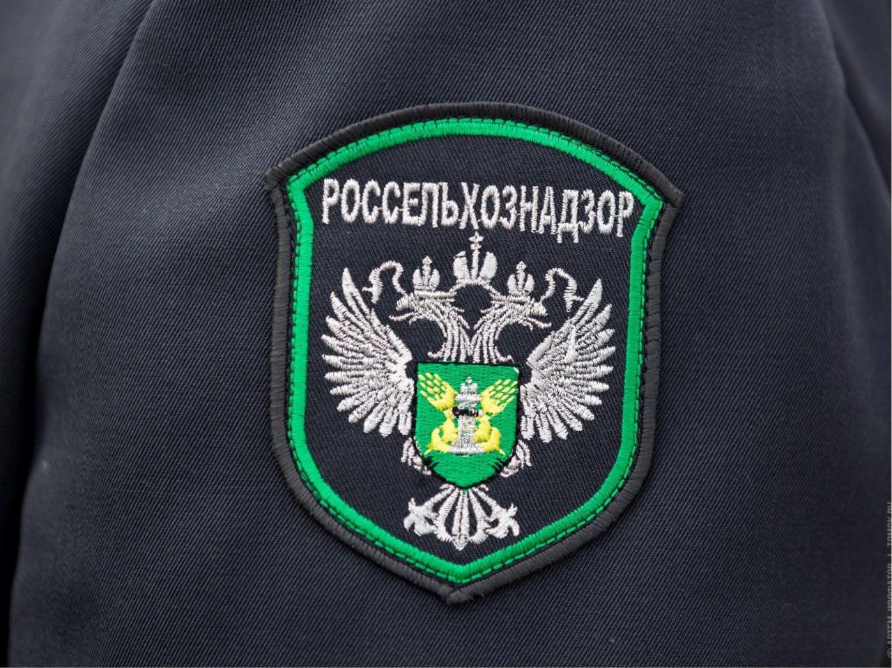 Мониторинг учёта пчелосемей в Запорожской области