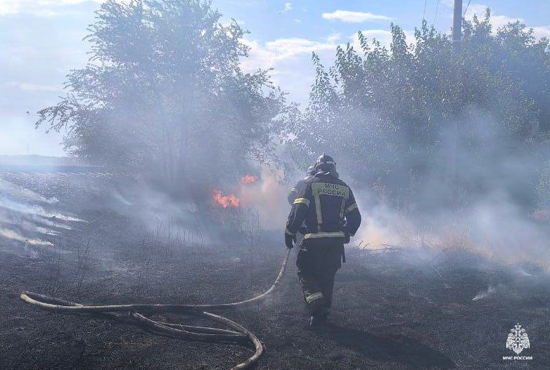 Оперативная информация за сутки