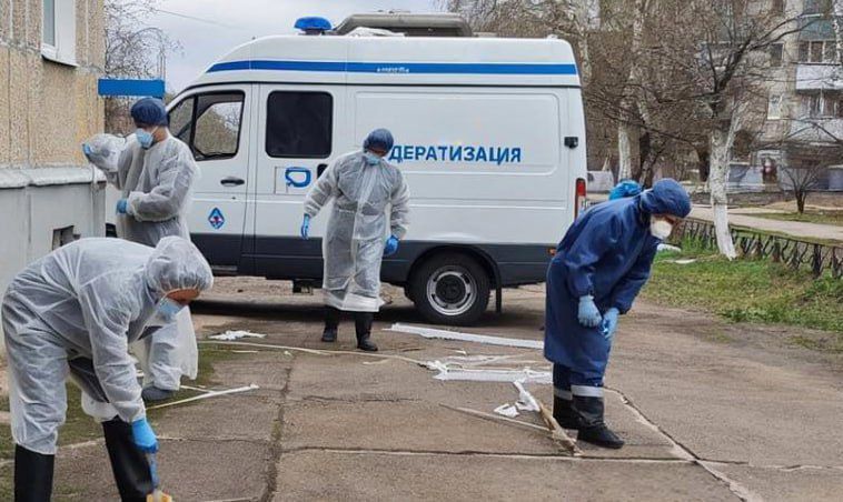 Энергодар столкнулся с серьезной проблемой — массовым появлением мышей в квартирах