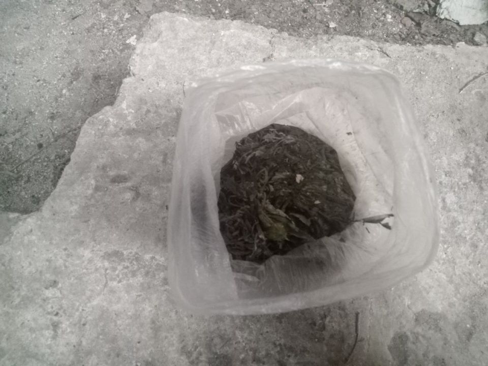 В Приазовском районе полицейские задержали подозреваемого в незаконном хранении наркотических средств