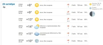 Подробно о погоде в Васильевке 29 октября 2025 года