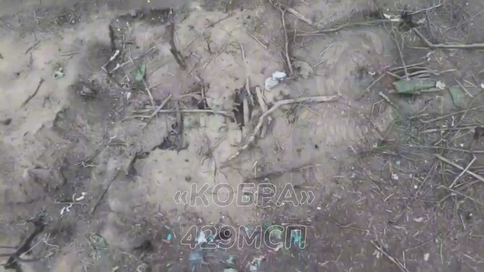 Операторы дронов и штурмовые подразделения 429 мотострелкового полка отработали по опорному пункту противника и поразили отходящую группу пехоты ВСУ на Запорожском направлении