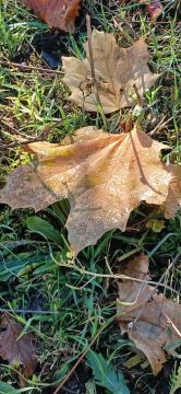 Доброе-предоброе утро! Желаем приятного пробуждения