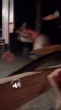 Доброе утро, друзья! Хорошего вам дня и отличного настроения!