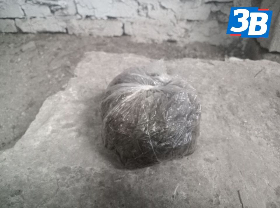 Пакет конопли изъяли у жителя Николаевки